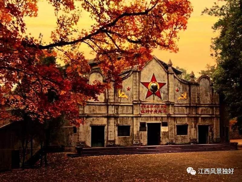 瑞金共和摇篮杯2023,瑞金共和摇篮要不要钱