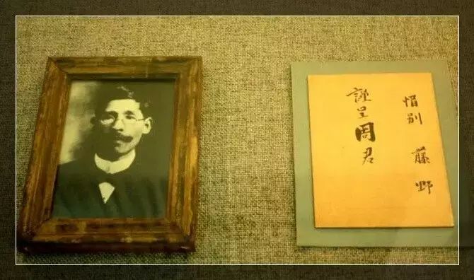 教师节致敬恩师美文,教师节感谢恩师诉说心声