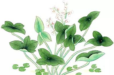 七个老师短视频,七个老师的视频