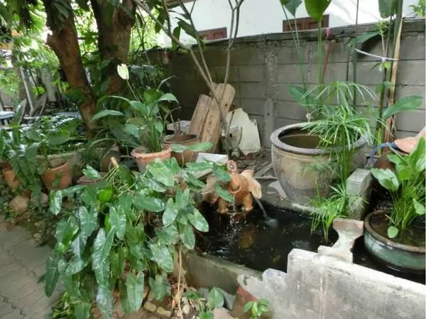 清迈拜县自驾旅游攻略最新,泰国到清迈自驾游最佳路线