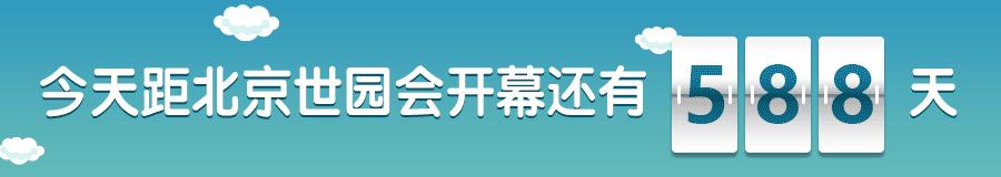 记忆里的花儿歌曲视频,记忆里的花和眼前的花