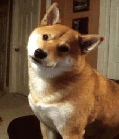 富士康工资为何那么低,富士康来中国底薪四千