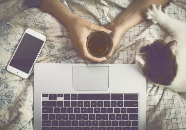 怎么用手机键盘打出一只猫,键盘按键显示一只猫