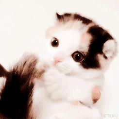 「笑多会怀孕」——一不小心滑了……