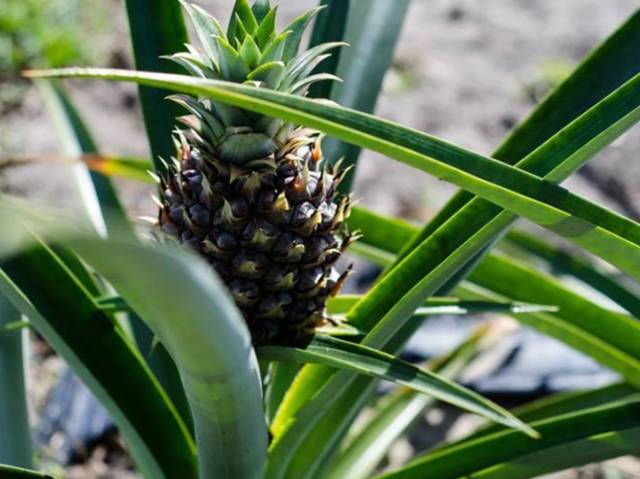推荐一款超好用的牙膏,一款又好看又好用的牙膏
