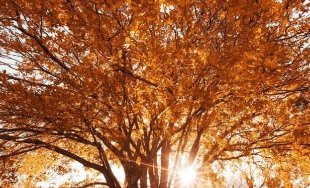 少华山红叶节完整视频,少华山红叶节开幕