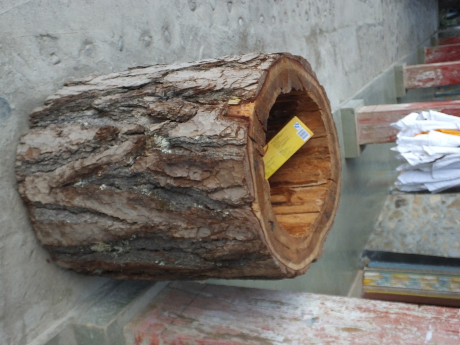 泸亚东线沿途风景,泸亚线穿越原始森林