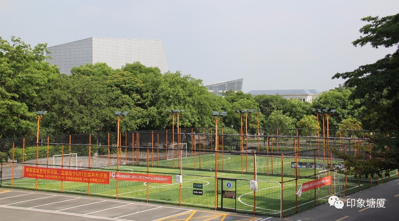 塘厦科苑东体育公园,塘厦体育公园