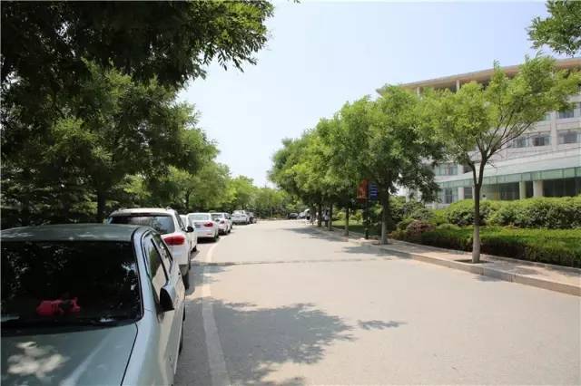 为什么一定要上大学，青岛科技大学给你答案！