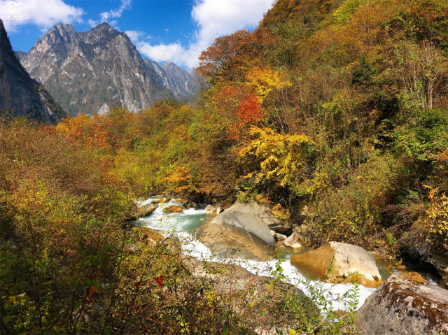 台湾人游黄龙旅游景区,台湾游客游杭州