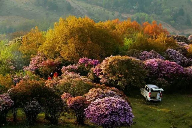 故乡神韵｜古城会理，冬暖夏凉的川滇锁钥