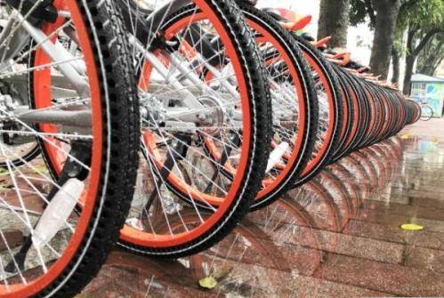 江南大学共享电动车,ofo小黄车免费