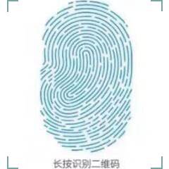 各国特色林荫道大盘点,“最美林荫道”随手拍等你来报名!