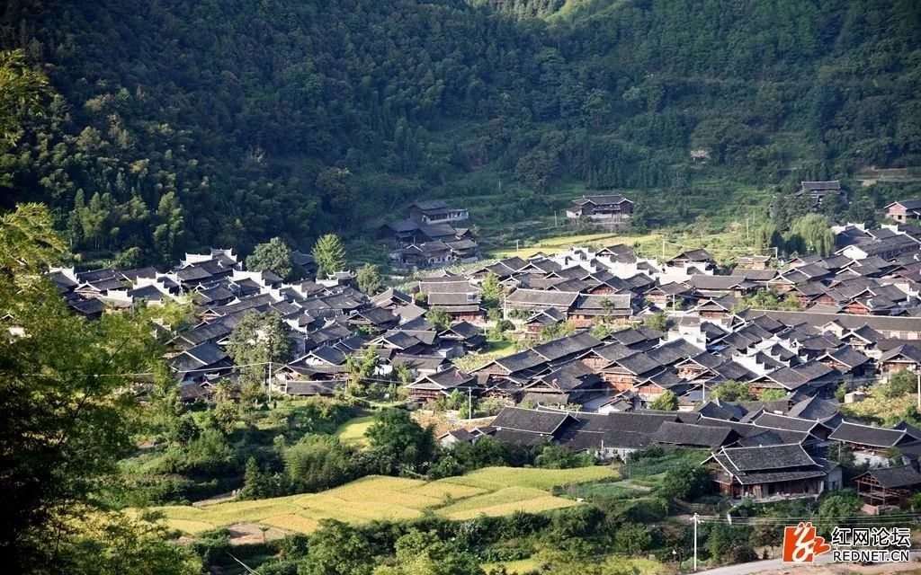 湖南最偏远最原始的村落,湖南大山藏着一个世外桃源