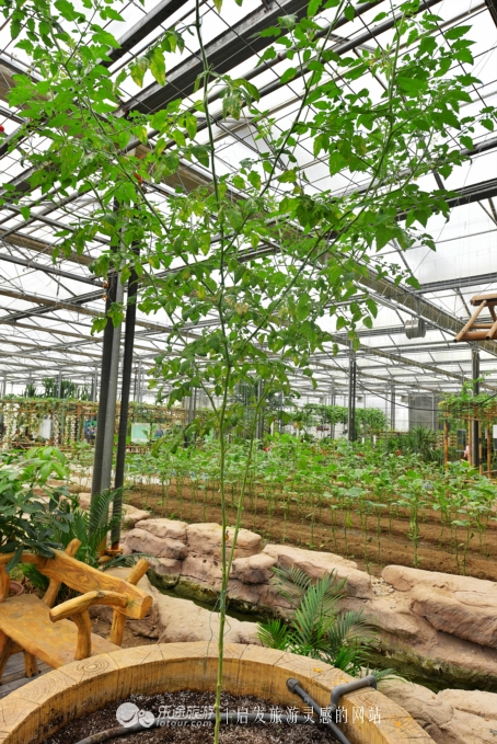 桃林胜过杏花村，给你一帘幽梦