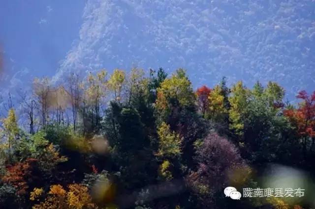 「相约康县」山水间歌声回荡，烟波里久违的故乡