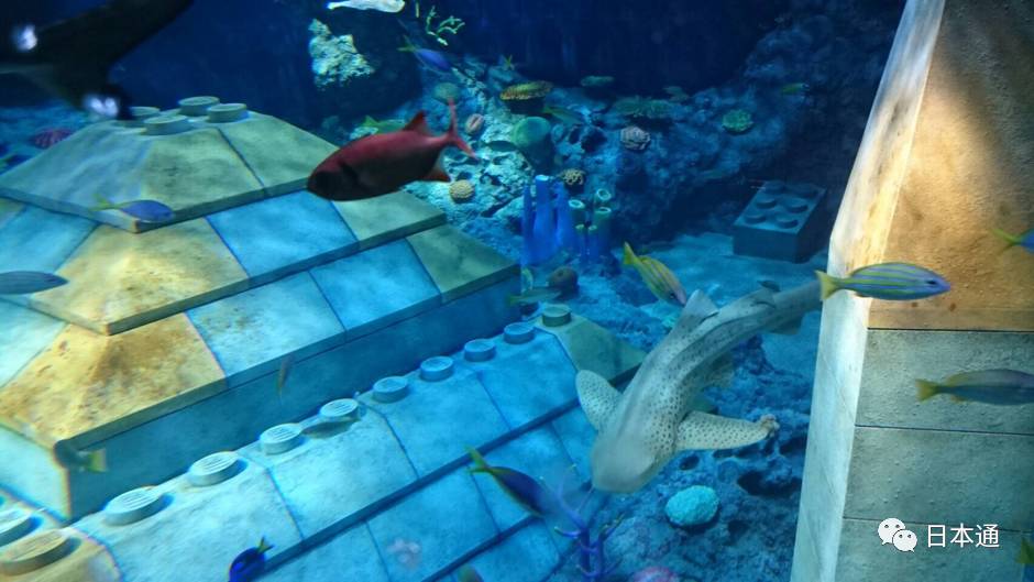 日本乐高乐园预计2025年开放,日本乐高乐园买乐高