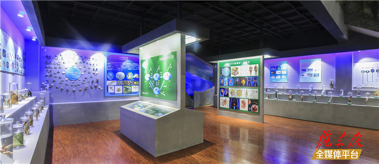 北师大庆阳附校喜报,你不知道的北师大