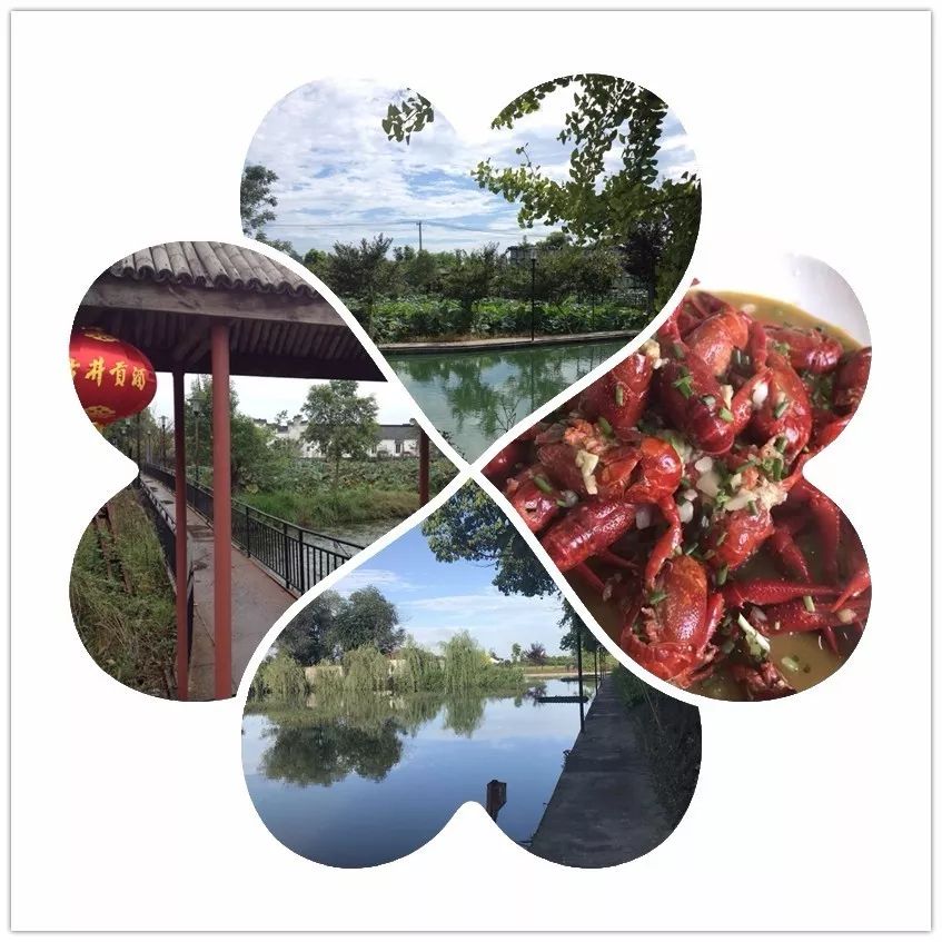 芜湖带住宿的农家乐有哪些,芜湖周边农家乐一日游推荐