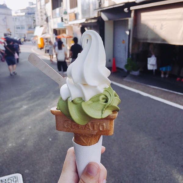 璞嗙摚鏃ヨ鍥炲鎸囧崡,璞嗙摚鏃呮父鏃ヨ