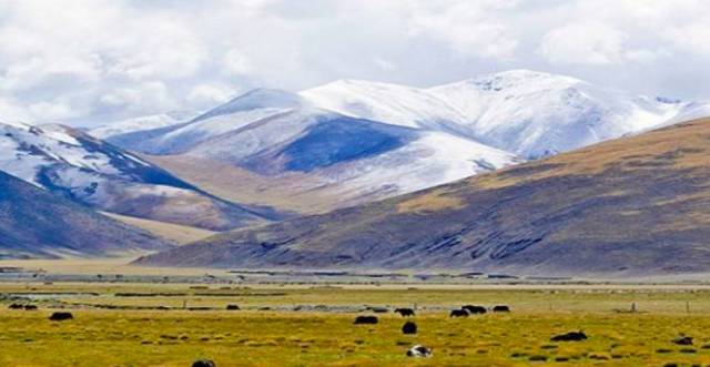 雪祭：闷罐车、新兵连、考军校，这滋味当过兵的人最懂