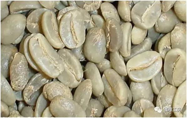 「咖啡常识」咖啡师学习培训基础知识大全