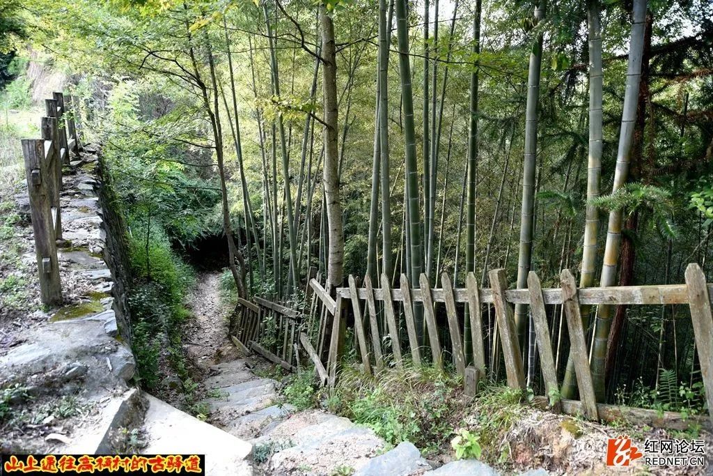 湖南最偏远最原始的村落,湖南大山藏着一个世外桃源