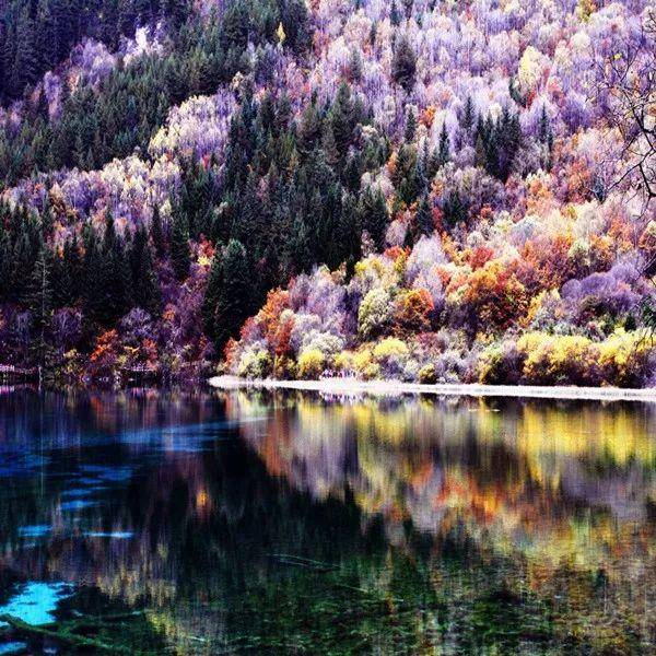 盘点名著里的经典语句,十大名著摘抄大全