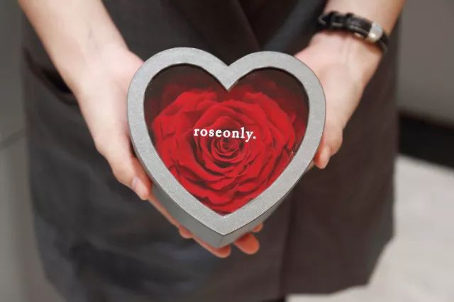 roseonly新品发布会在哪个城市,郑州roseonly专柜