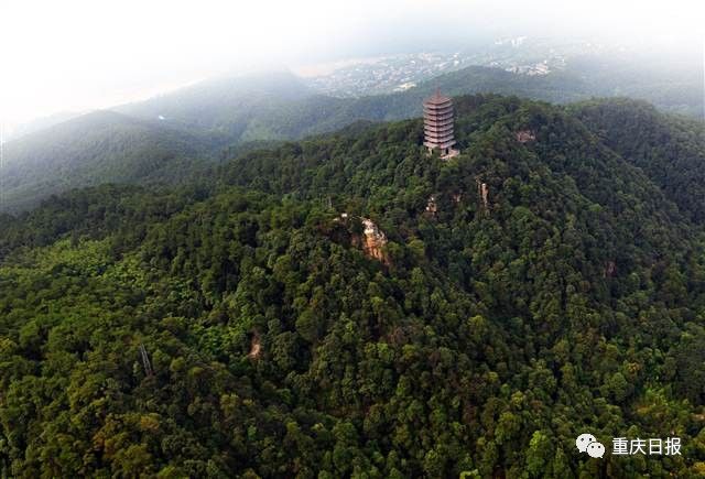 北碚安静的地方,北碚适合安静呆一天的地方