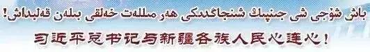 「禾家亲」世世代代民汉情，我们永远在一起