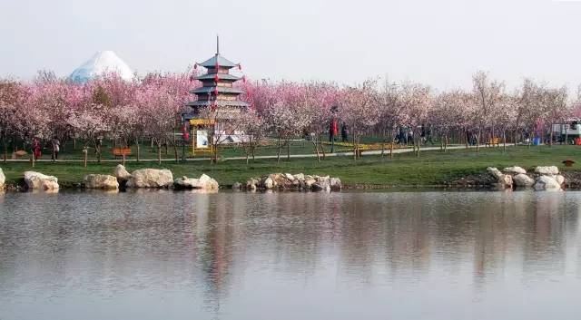 成都欧洲中心青白江,青白江到欧洲的桥头堡