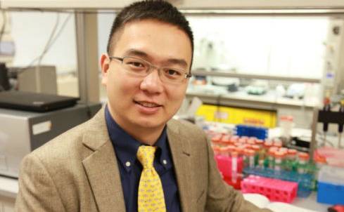 绝了绝了！华人科学家发明将「游泳圈」变为「八块腹肌」的「减肥神贴」，想瘦哪里贴哪里｜奇点猛科技