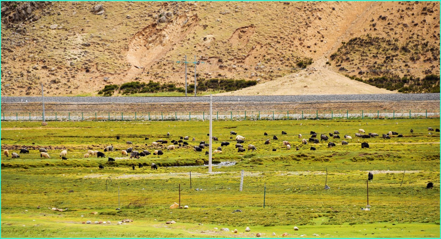 纳木错自然风景音乐,雪域高原天籁之音纳木错