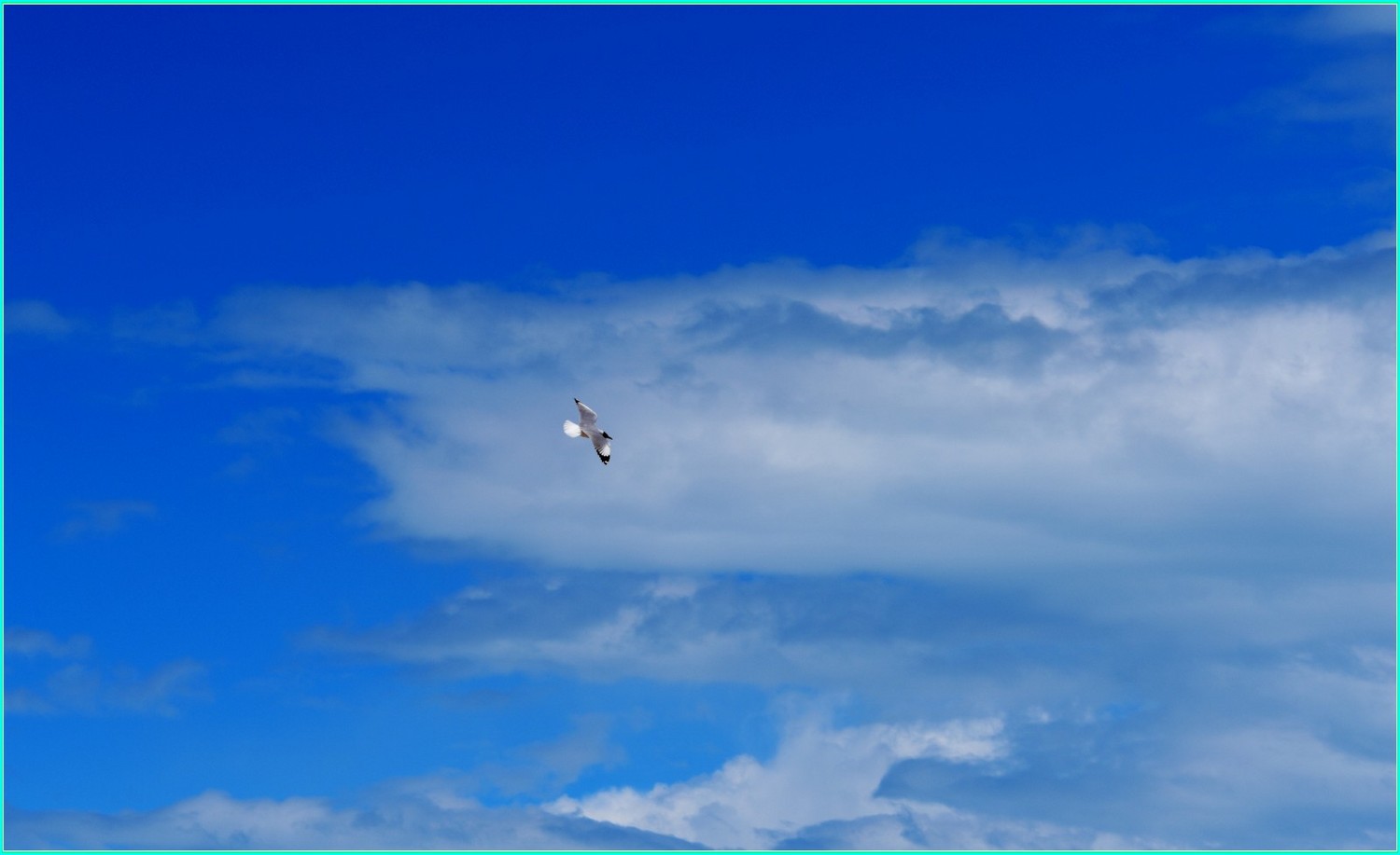 纳木错自然风景音乐,雪域高原天籁之音纳木错