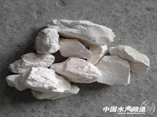 鱼塘土壤酸性用什么改良,鱼塘水质改良方案