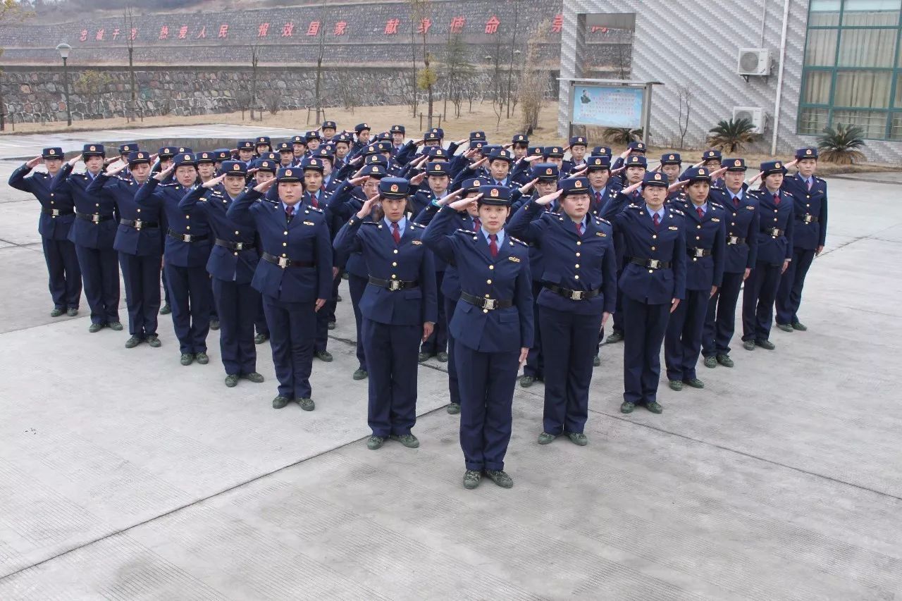 对不起我要辞职了,对不起我要辞职了该怎么办