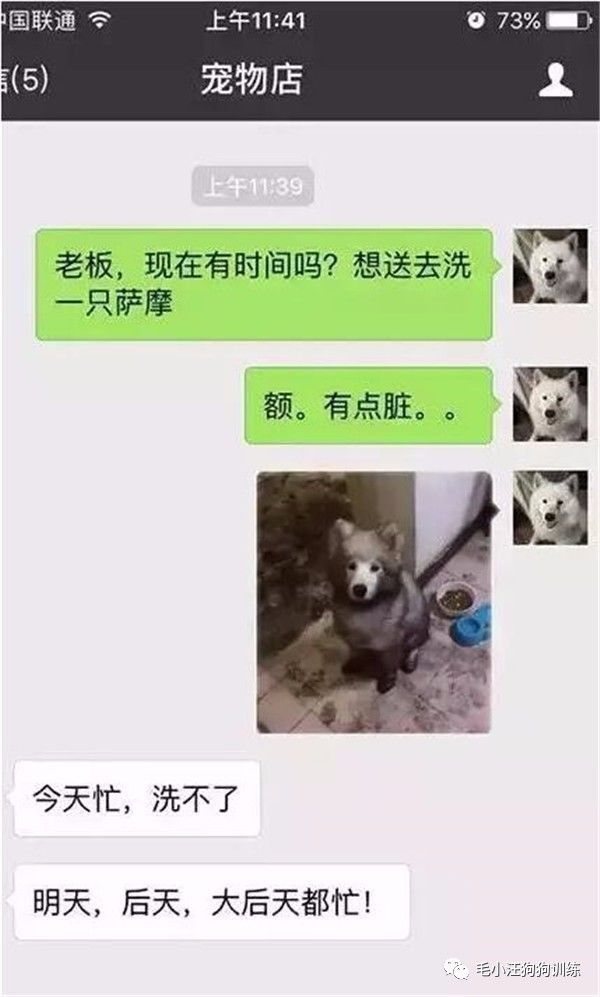 附近的宠物店太多怎么办,被全国的宠物店拉黑的狗