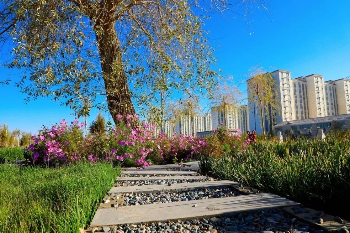 秋日里，有一抹乡愁叫且末！