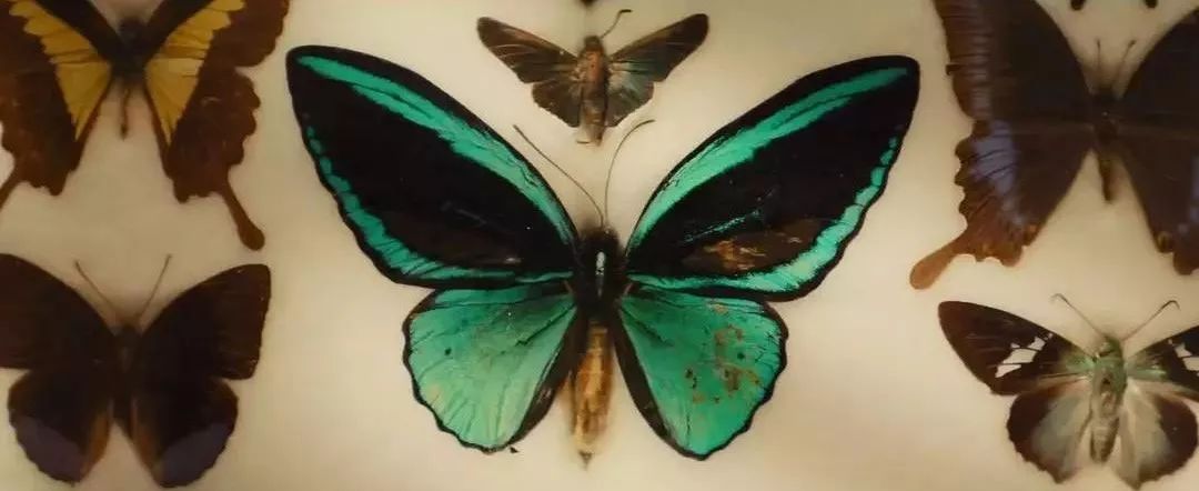 开局就燃爆电影片段,刚开播就燃爆的电视剧