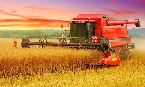 璞嗙摚鏃ヨ,璞嗙摚鏃ヨ璇楀彞