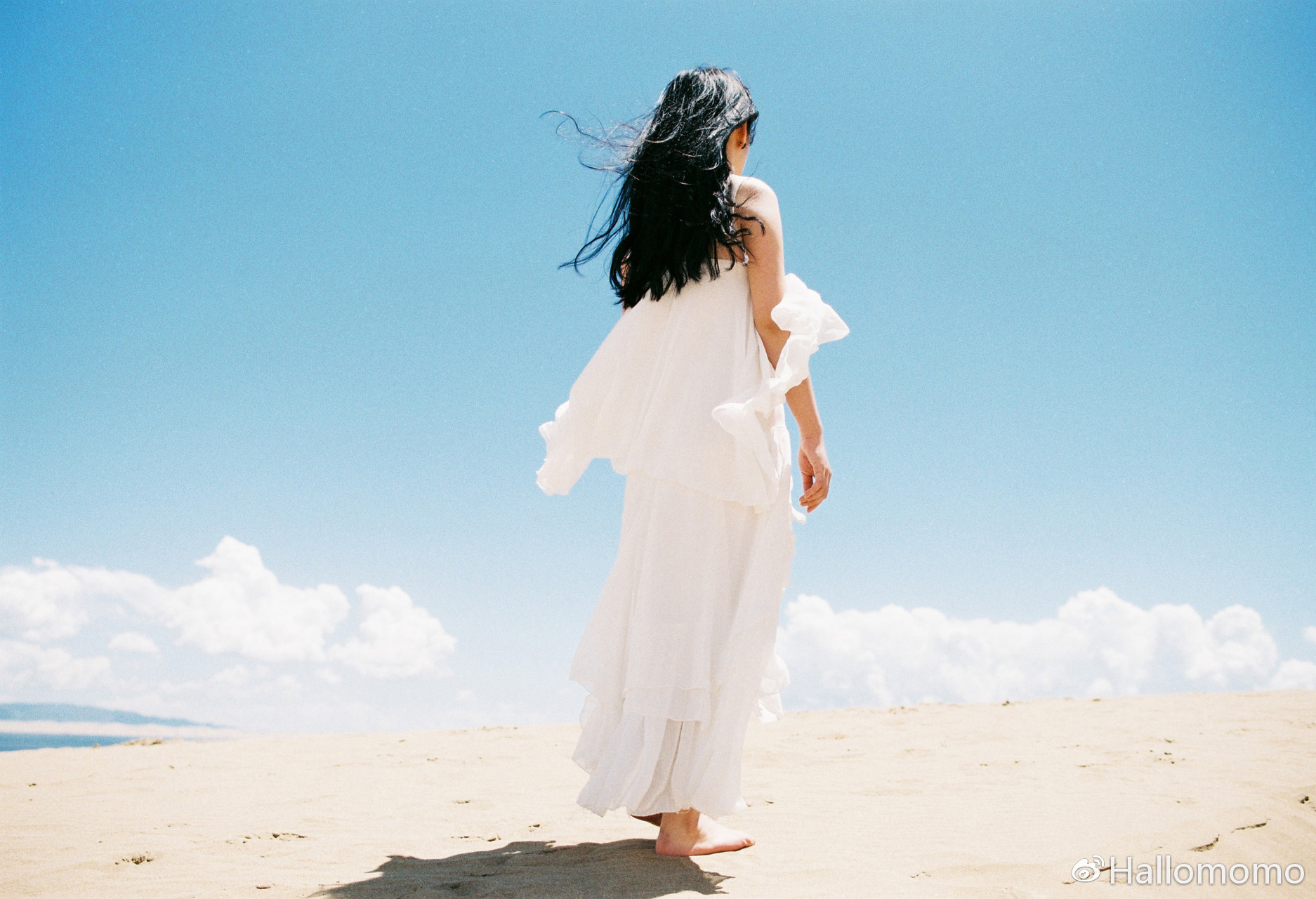 那些年我玩过的胶片机,旁轴胶片机推荐