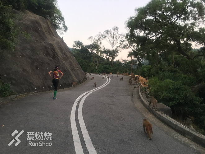 凯乐石goretexpro测评,凯乐石fugaex2.0黑色