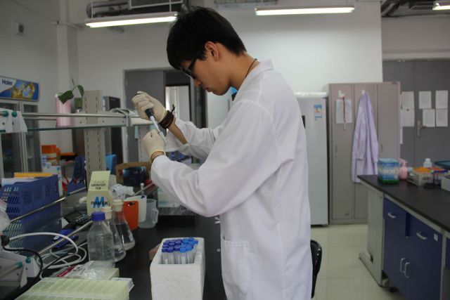 东北大学非医学专业学生也能治病救人做“大夫”，而且专治脂肪肝！