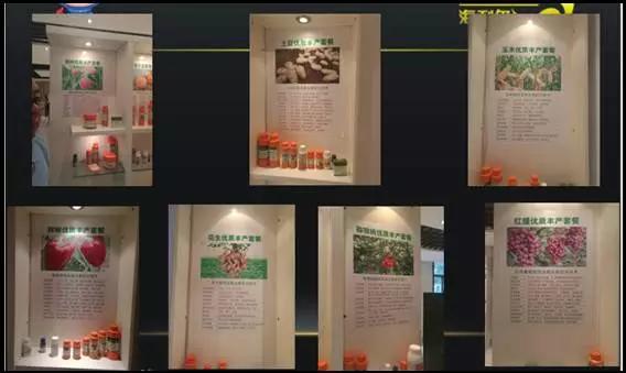 海利尔公司简介,海利尔的发展趋势