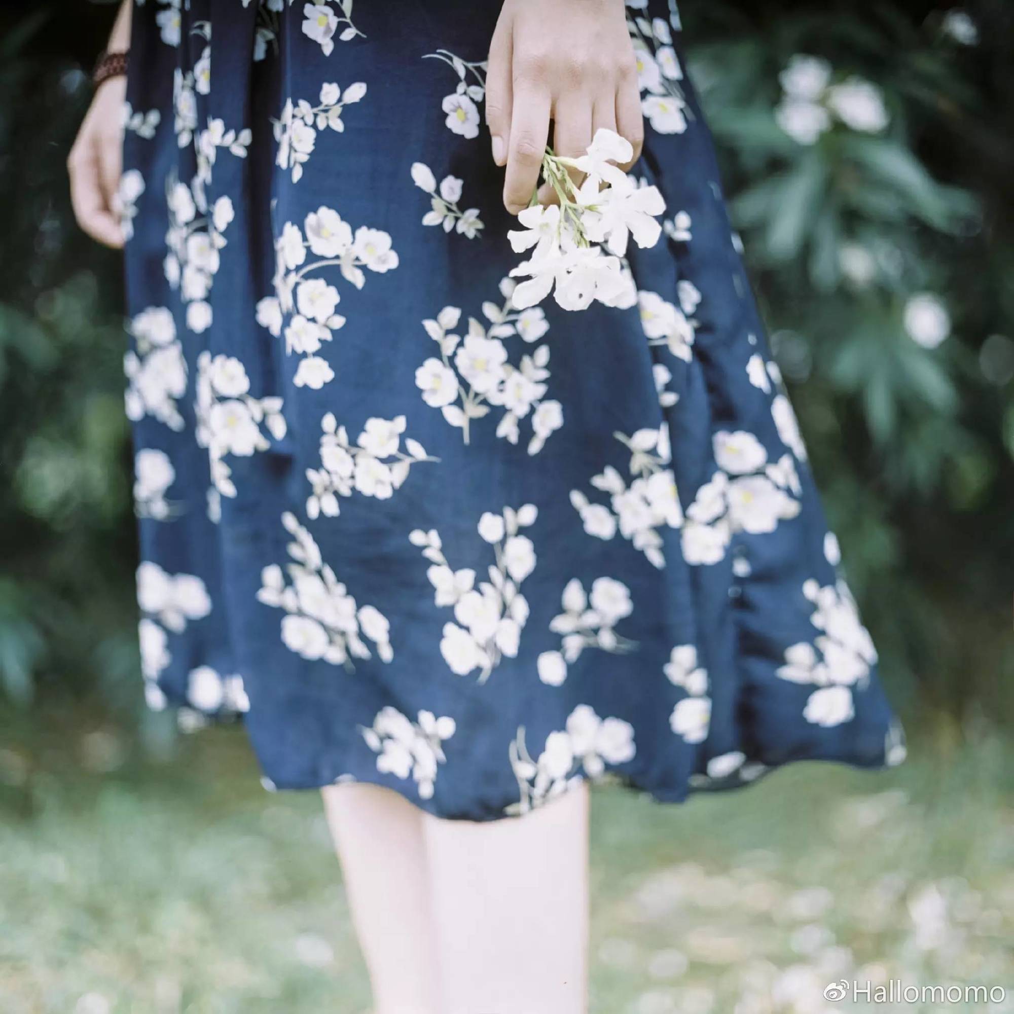 那些年我玩过的胶片机,旁轴胶片机推荐