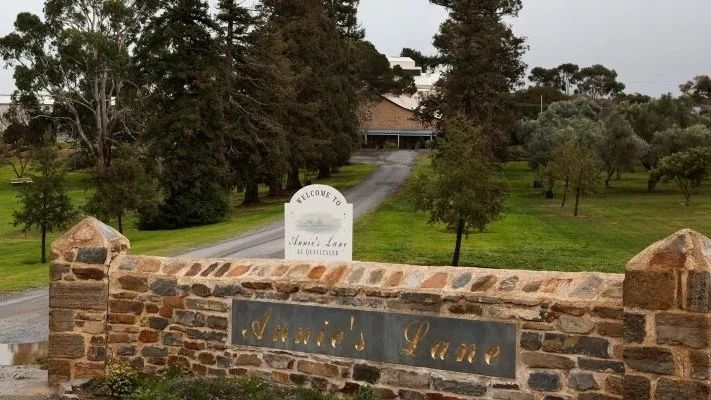 茅台葡萄酒最新资讯,葡萄酒行业最新市场动态分析