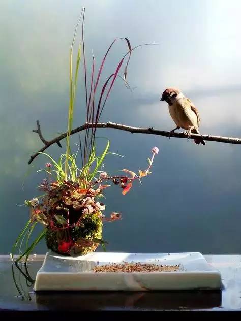 一花一世界一草一天堂一叶一菩提,一花一世界一草一天堂歌曲