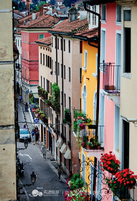 维琴察橡木,意大利维琴察到威尼斯