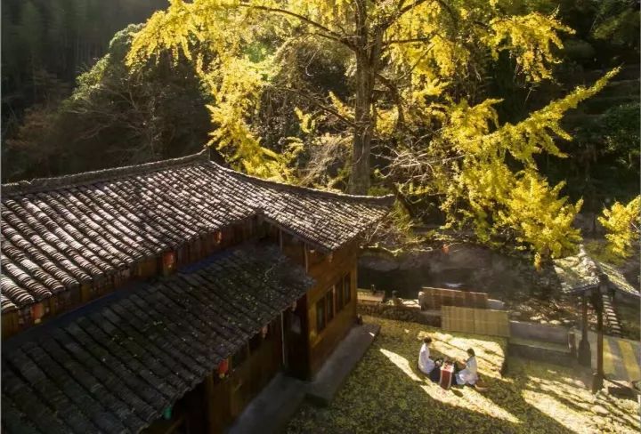 这是一份打开“楠溪江之秋”调色板的攻略！请收下！